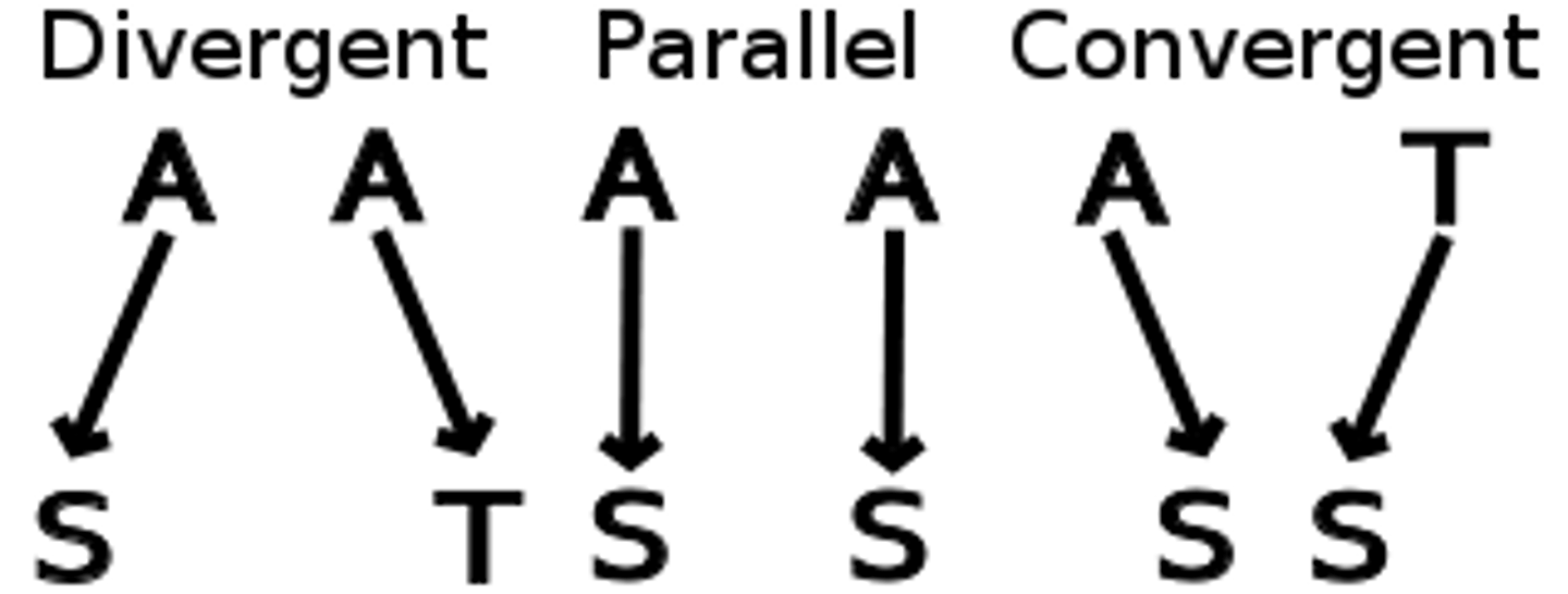 <p>Process in which two species from different lineages have independently evolved similar characteristics because they occupy similar environments</p>