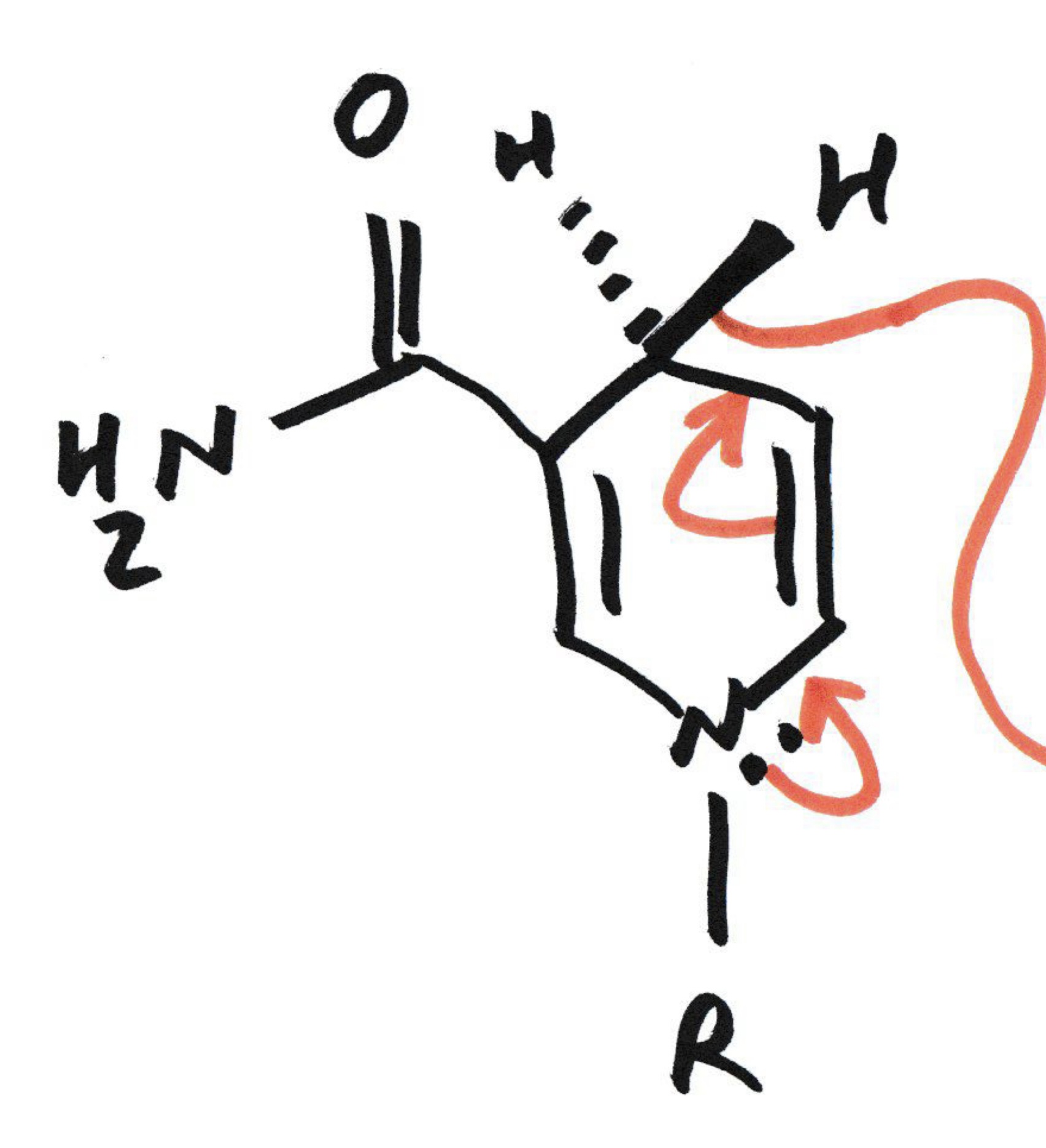 <p>NADH/NADPH and its reduced into NAD+</p><p>(nicotineamide adenine dinucleotide )</p>