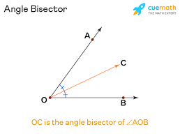 <p>a ray that divides an angle into two congruent angles</p>