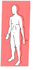 <p>Label the plane of section</p>