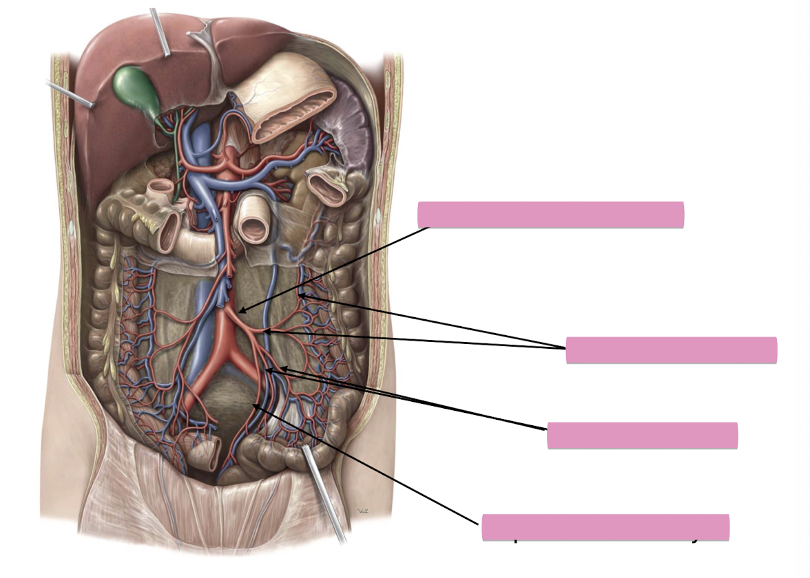 <p>Fill in the blank </p>