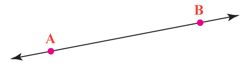 Made up of points with no thickness or width; Extends indefinitely in both directions.
