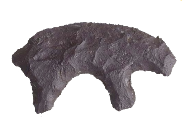 <p>Chipped Stone Bear</p>