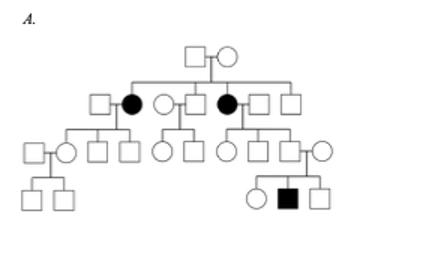 <p>The mutation is in nuclear DNA because it does not show maternal inheritance; its hows an autosomal recessive pattern of inheritance.</p>