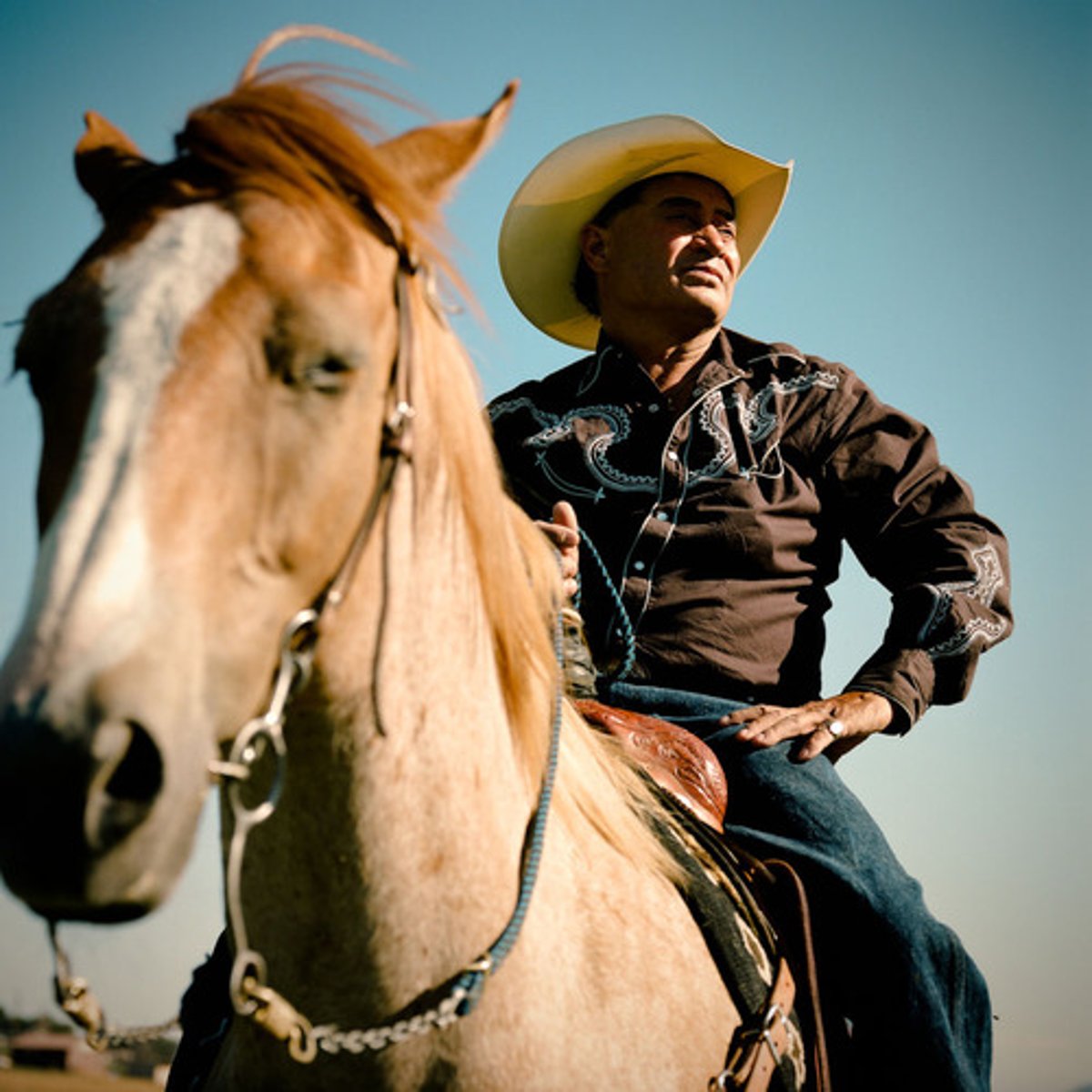 <p>cowboy; western</p>