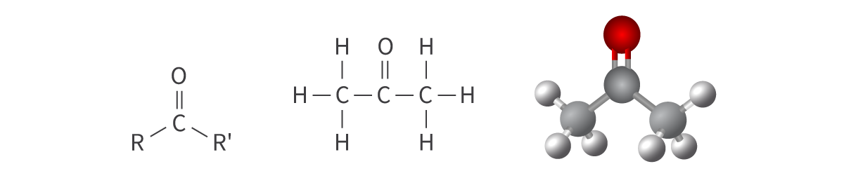 <ul><li><p>carbonyl functional group: <strong>carbon</strong> atom bonded to an <strong>oxygen </strong>atom</p></li><li><p>double bond</p></li></ul><p>Bond: C=O within carbon chain</p>