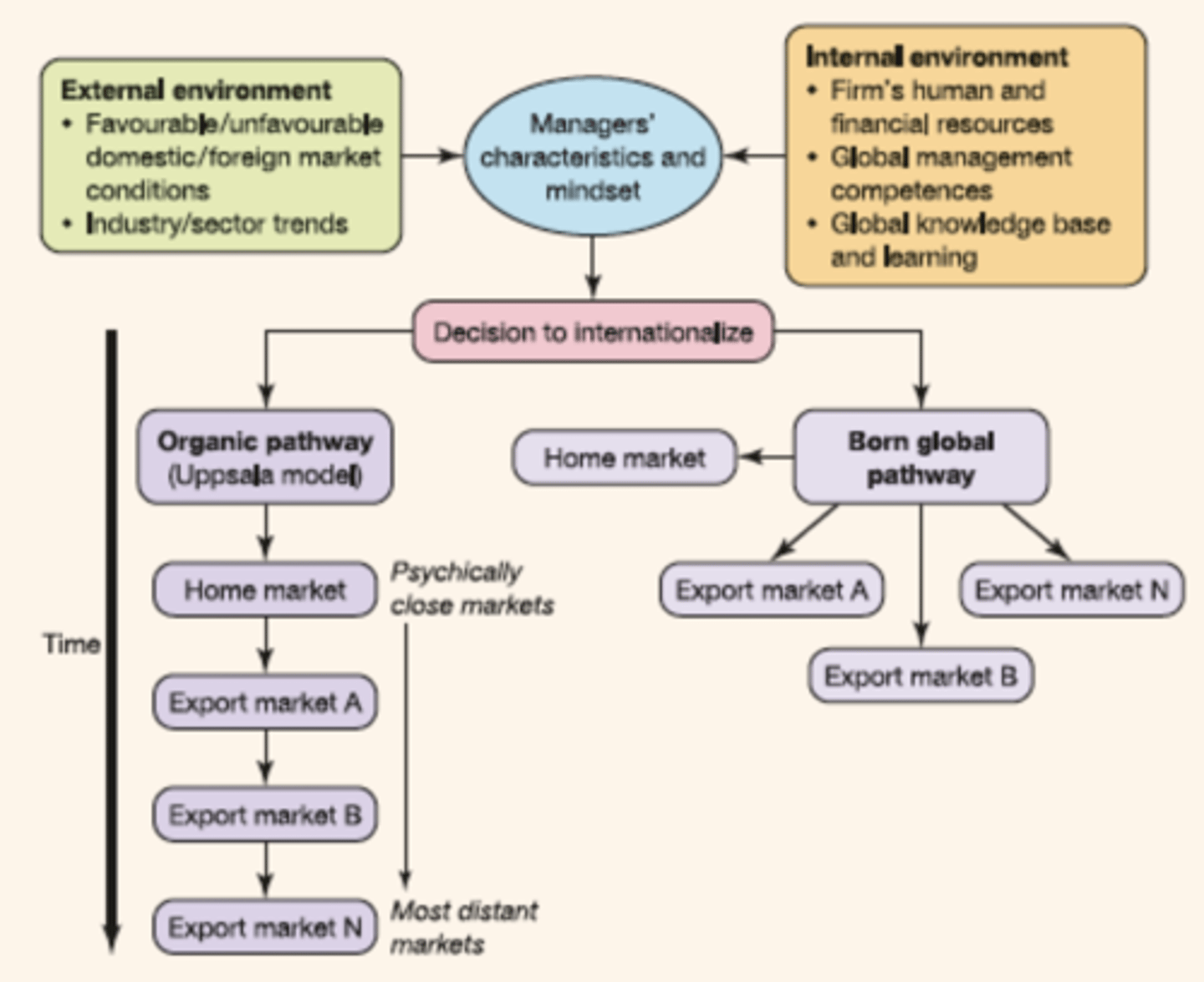<p>1. Slow &amp; Steady</p><p>2. Quick &amp; Ready (Born Global)</p>
