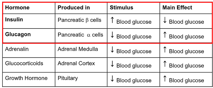 <p>Glucose Regulating Hormones</p>