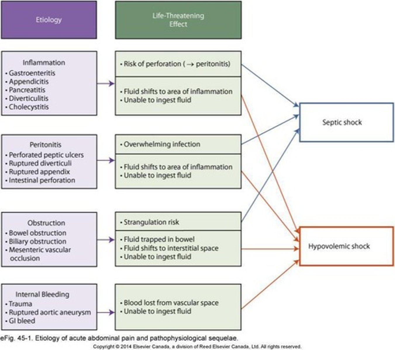 <p>Kehr's sign (pain in left shoulder), Cullen's sign (periumbilical ecchymosis), Grey Turner's sign (bruising to flank).</p>