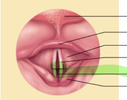 <p>What is this structure?</p>