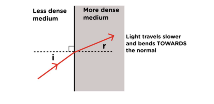 <p>light travels slower and bend towards the normal</p>