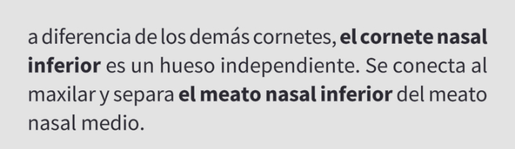 <p>Cornete nasal inferior</p>