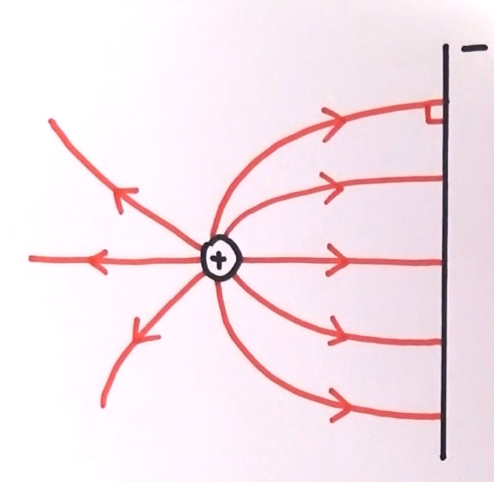 <ul><li><p>Field lines from positive to negative normal to the wall</p></li></ul><p></p>