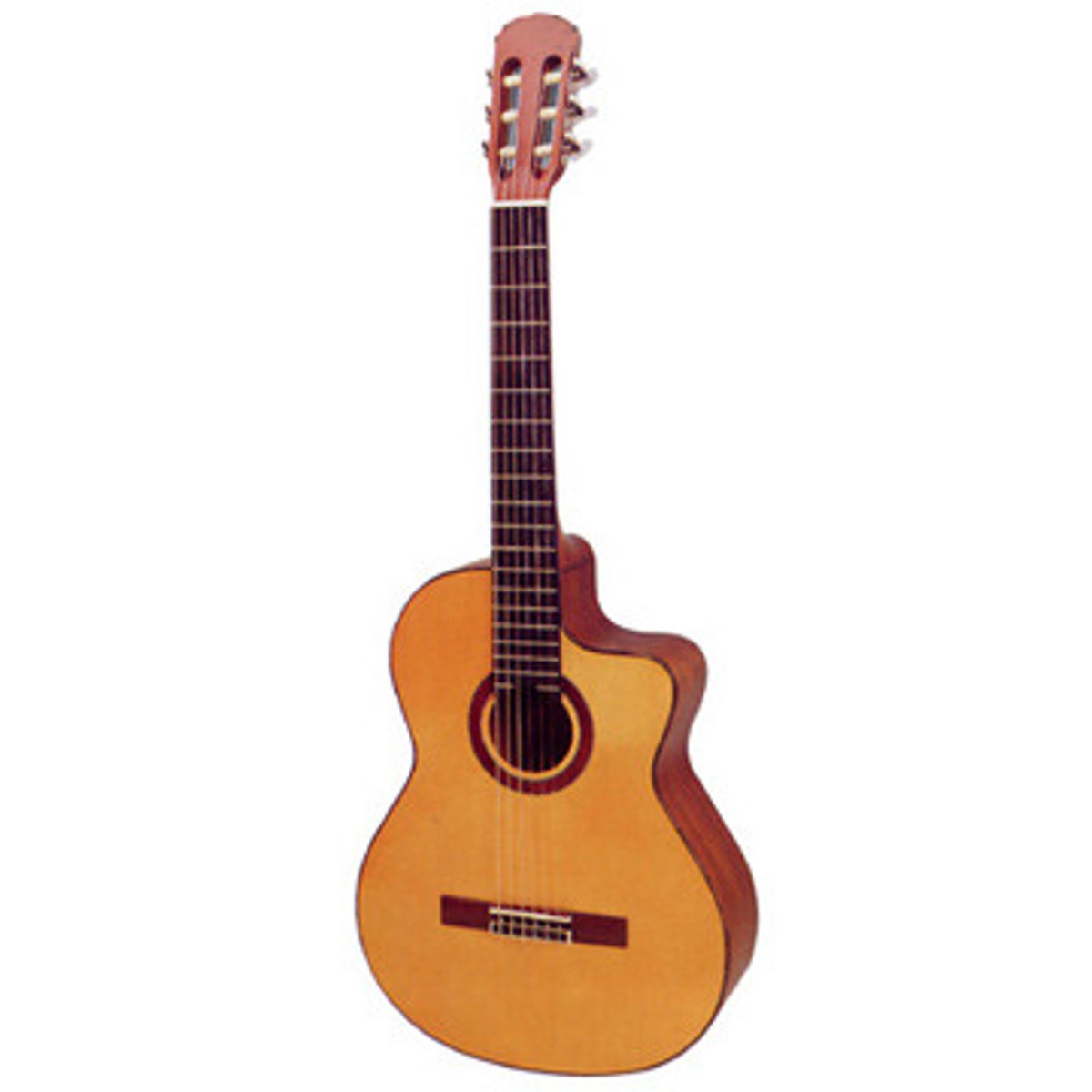 <p>guitar</p>