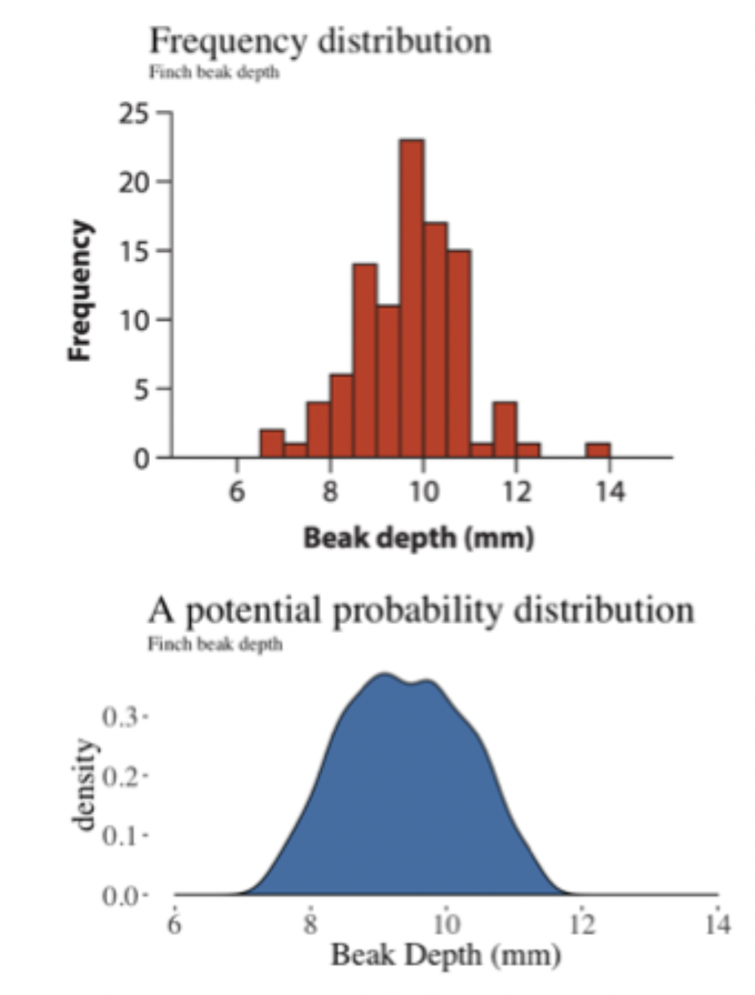 <p>frequency distribution = describes the number of times a value occurs in a sample</p><p>probability distribution = describes the proportion of the population with a value</p>