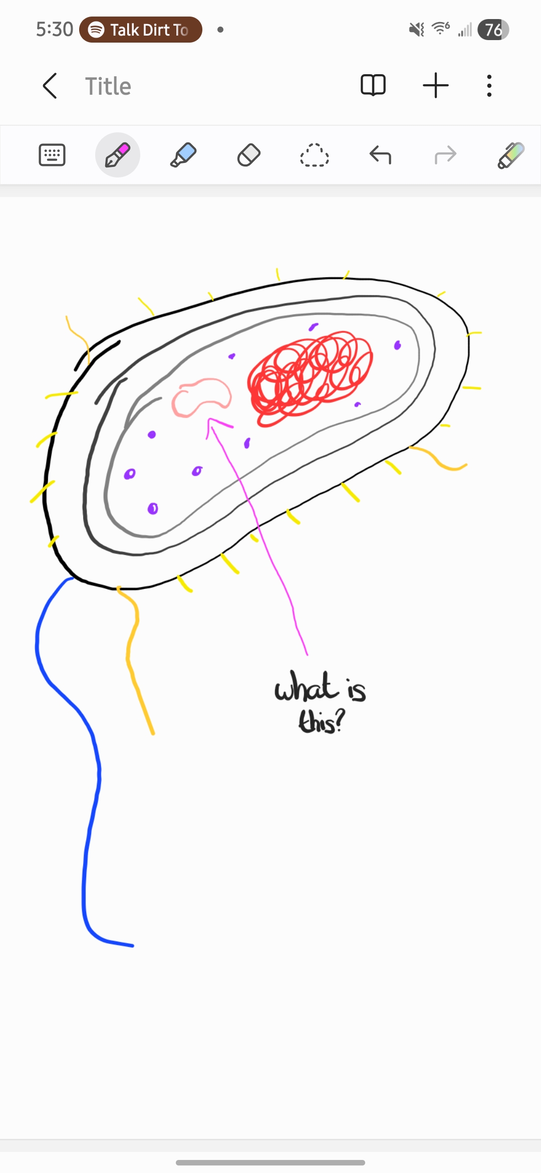<p>What is this?</p>
