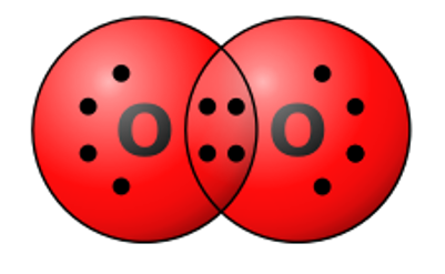 <p>Select all of the following which are true for the molecule pictured below.</p>