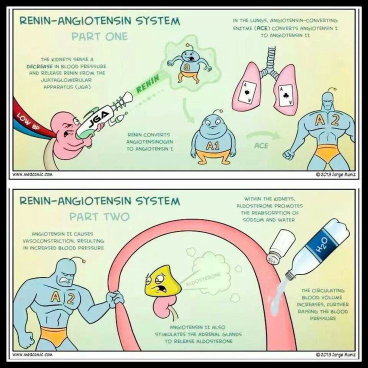 <p>What does aldosterone promote in the kidneys?</p>