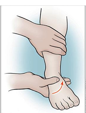 <ul><li><p>Performed to determine extent of injury to the calcaneofibular  ligament  (inversion) or Deltoid ligament (eversion ) </p></li><li><p>With foot at 90 degrees, the calcaneus is inverted .  Pain and excessive motion indicates injury to Calcaneofibular ligament and possibly the anterior and posterior talofibular ligaments </p></li><li><p>If the calcaneus is everted deltoid , the deltoid ligament is tested</p></li></ul><p></p>