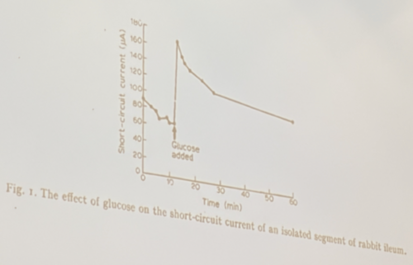 <p>if you increased glucose concentration in the lumen, how would you expect short-circuit current to change?</p>