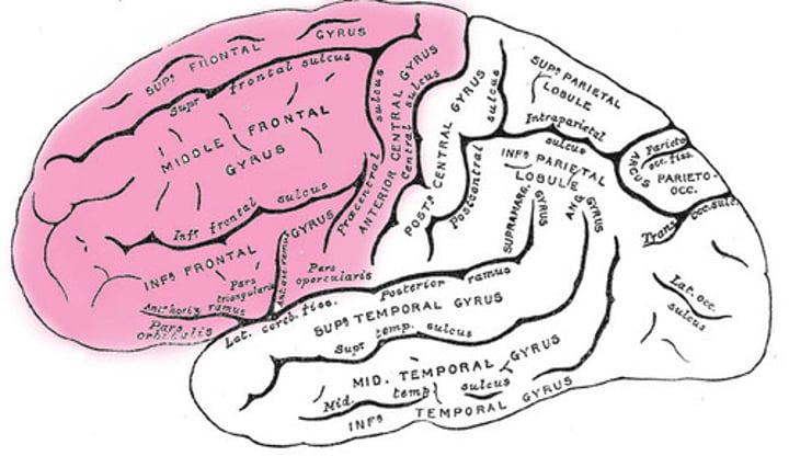 <p>A general term that refers to a range of cognitive processes that require careful and conscious processing, including working memory, delaying gratification and system two processing.</p>