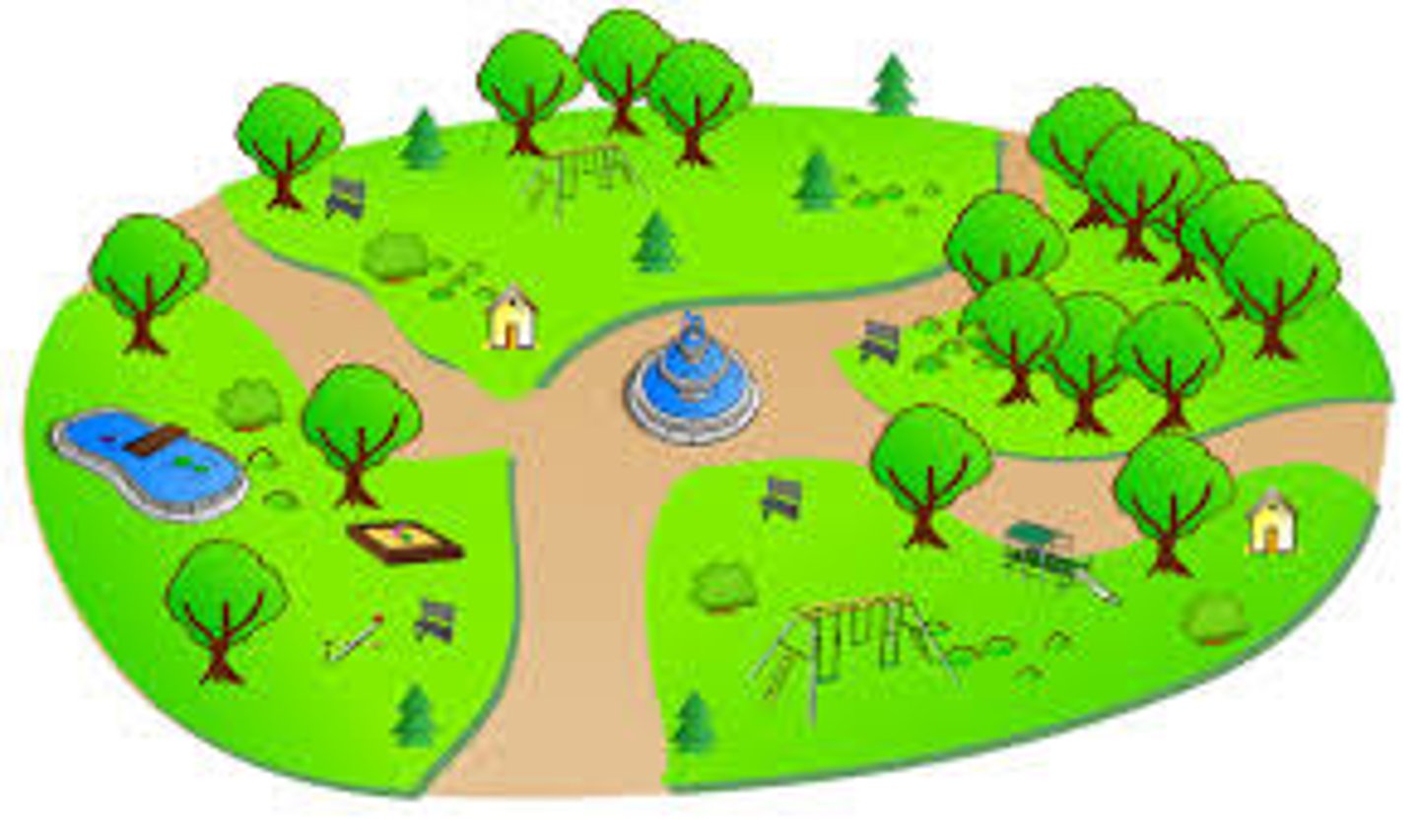<p>the park</p>
