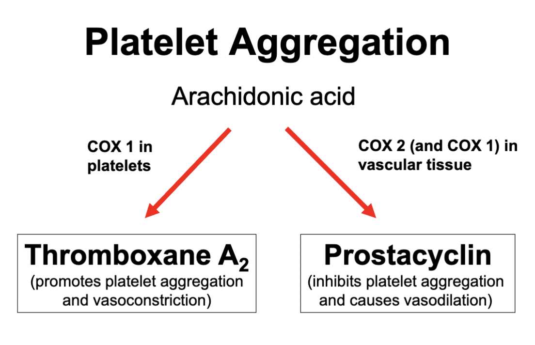 <p><strong>Thromboxane = COX 1 produced</strong></p><ul><li><p>Promotes platelet aggregation</p></li><li><p>Vasoconstriction</p></li></ul><p></p><p><strong>Prostacyclin = COX 2 and COX 1 produced</strong></p><ul><li><p>Inhibits platelet aggregation</p></li><li><p>Vasodilation</p></li></ul><p></p><p><strong><em><mark data-color="#6300cf" style="background-color: rgb(99, 0, 207); color: inherit;">These 2 balance each other out by inducing opposite effects in order to control platelet aggregation</mark></em></strong></p>