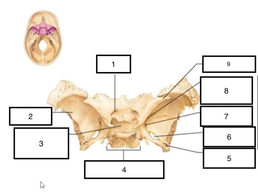 <p>9</p>