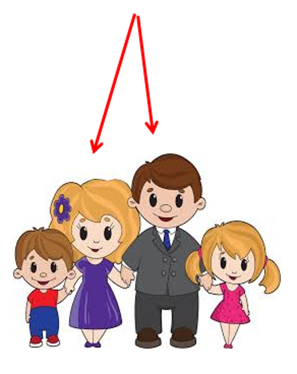 <p>the parents</p>