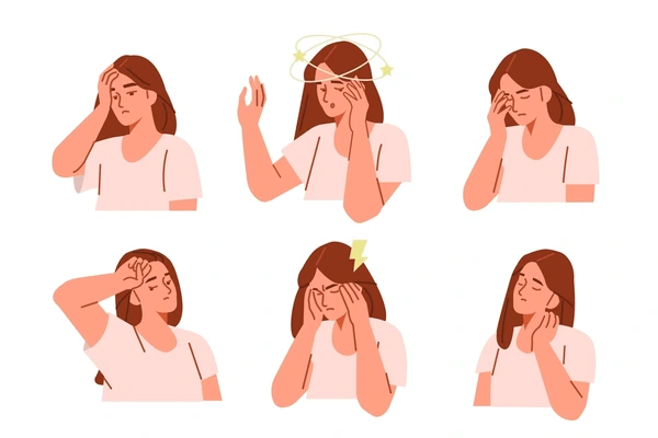 <p>other anxiety disorders, major depressive disorder, and substance use disorders</p>