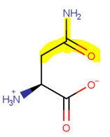 <p>Polar-Neutral (4)</p>