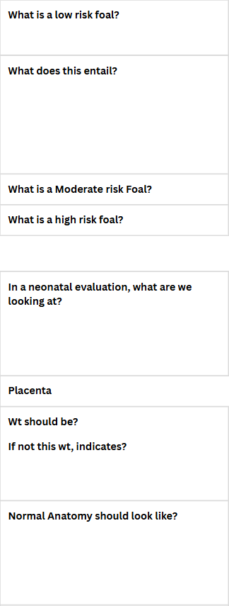 <p>Foal Health Risk Assessment</p><p></p>