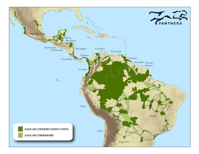 <p><span style="font-family: &quot;Baskerville Old Face&quot;;"><span>can connect isolated habitats</span></span></p><p><span style="font-family: &quot;Wingdings 2&quot;;"><span></span></span><span style="font-family: &quot;Baskerville Old Face&quot;;"><span>Can be natural or manmade</span></span></p><p><span style="font-family: &quot;Wingdings 2&quot;;"><span></span></span><span style="font-family: &quot;Baskerville Old Face&quot;;"><span>E.g., Jaguar corridor initiative </span></span></p><p><span style="font-family: &quot;Wingdings 2&quot;;"><span></span></span><span style="font-family: &quot;Baskerville Old Face&quot;;"><span>Can increase diversity, reduce inbreeding</span></span></p><p><span style="font-family: &quot;Wingdings 2&quot;;"><span></span></span><span style="font-family: &quot;Baskerville Old Face&quot;;"><strong><span>Metapopulation</span></strong></span></p>