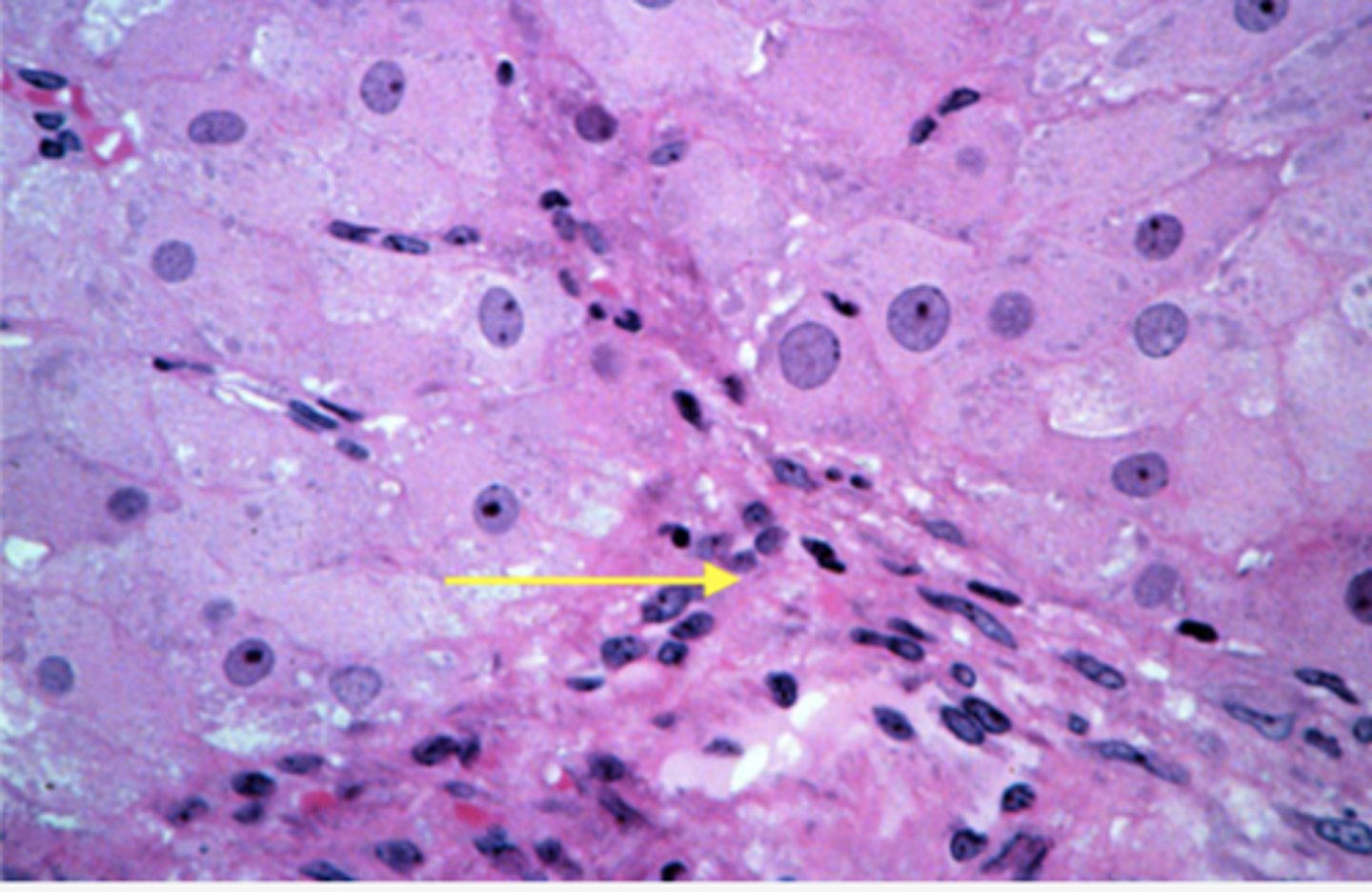 <p>Identify the cells</p>