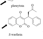 <p>Name Enzyme&nbsp;</p>