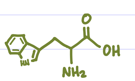 <p>Is this Amino Acid Polar or Non-polar?</p>