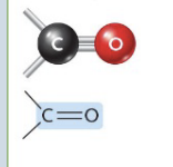 <p>(C = O) (Ex. Aldehydes and Ketones)</p><p> </p><p>Building blocks of carbohydrates + supply energy for cell activities</p>