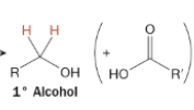 <p>Primary alcohol + COOHR’</p>