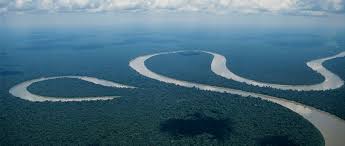 <p>Crescent-shaped lakes formed when a meander loop is cut off from the main river.</p>