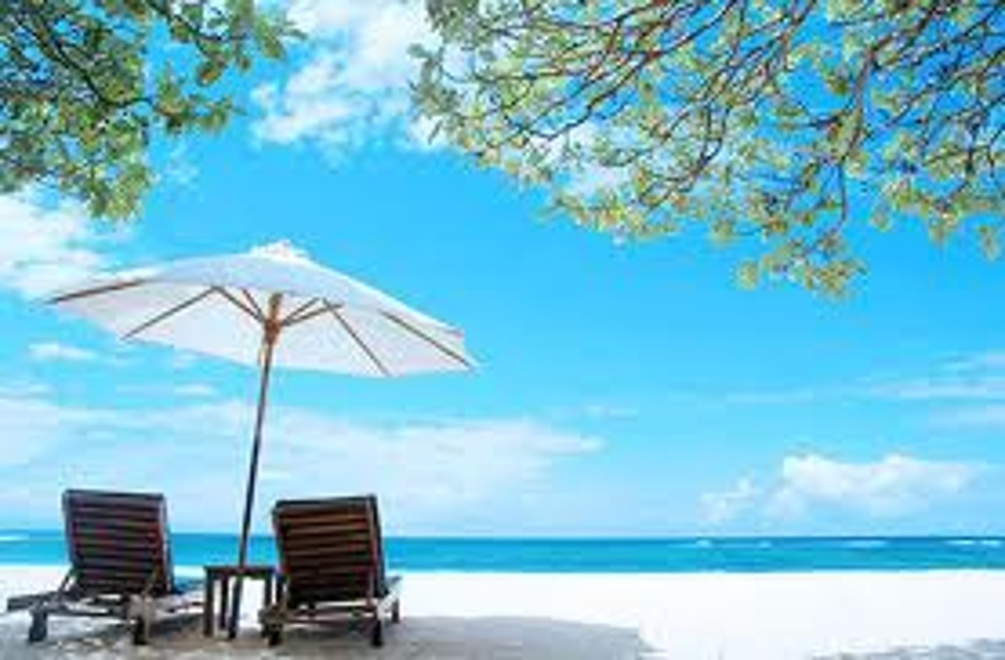 <p>summer season</p>