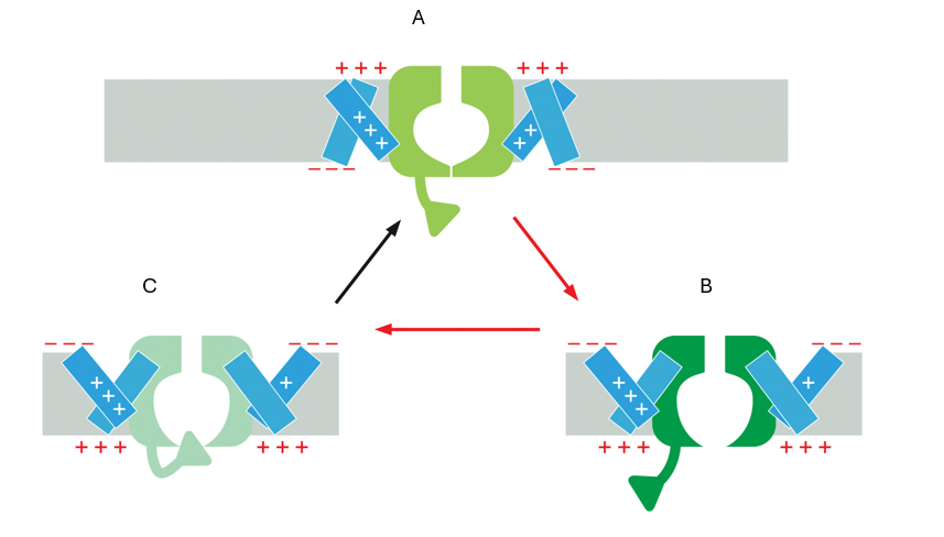 <p>What is C?</p>