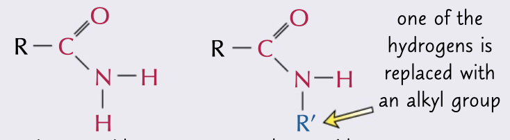 <p>formed when nitrogen in amide has a second R group attached, have the prefix N-alkyl-</p>