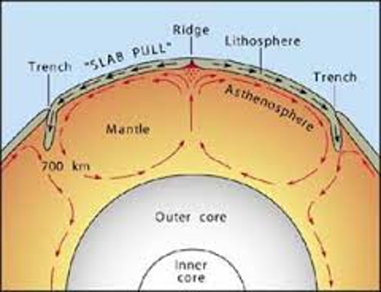 <p>Heat from the core rises to the top of the mantle</p><p>Magma heats up</p><p>Heated magma rises to the top of the mantle</p><p>Heated magma spreads to the sides</p><p>As magma cools down, it goes back through the mantle</p><p>Magma goes back down to the heat source</p><p>Crust moves in direction of magma</p>