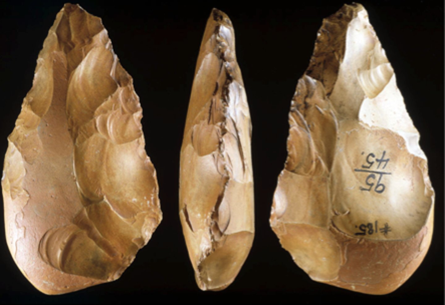 <p>Lower Paleolithic culture that was the most important and dominant tool-making tradition with oval and pear-shaped hand-axes</p>