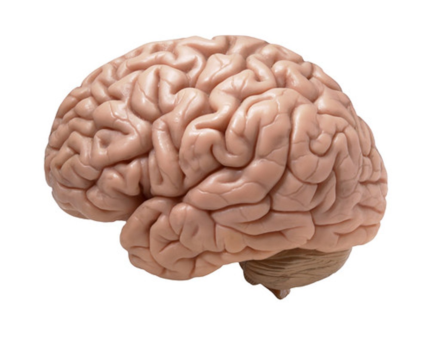 <p>- Very subjective</p><p>- Reduces God to understanding &amp; interpretation of human minds</p>