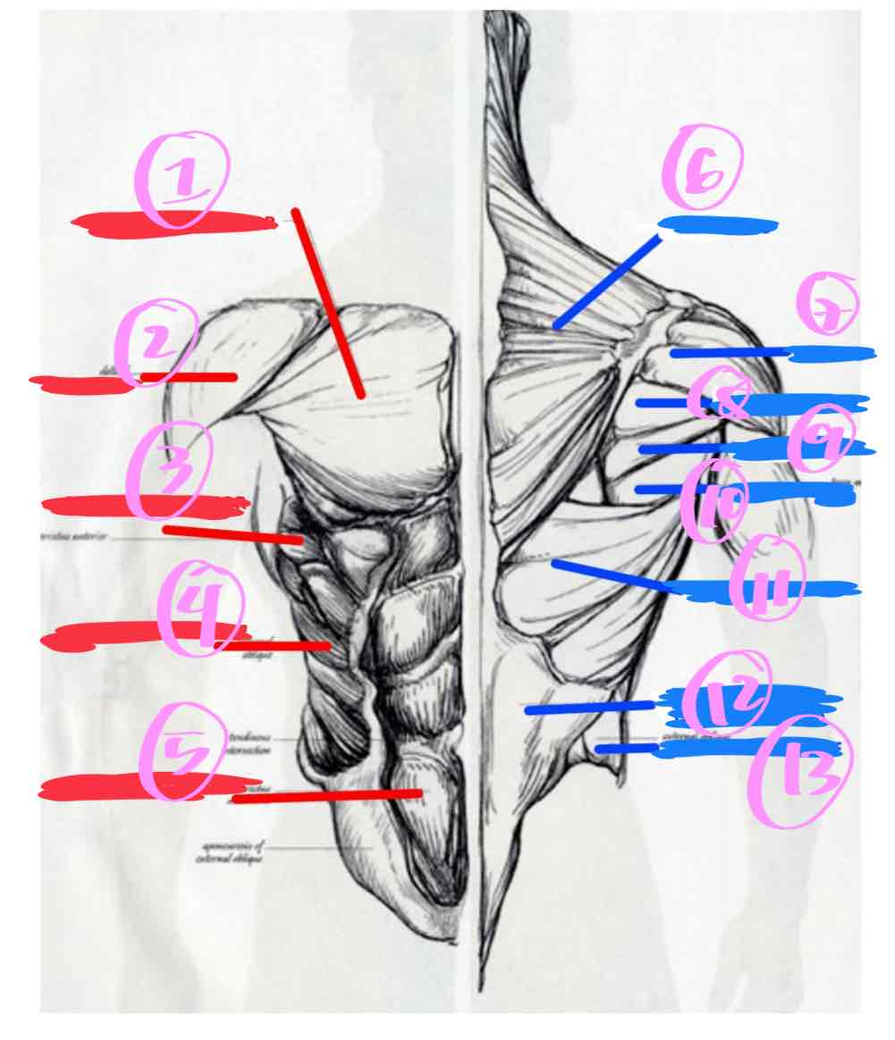 <p>6</p>