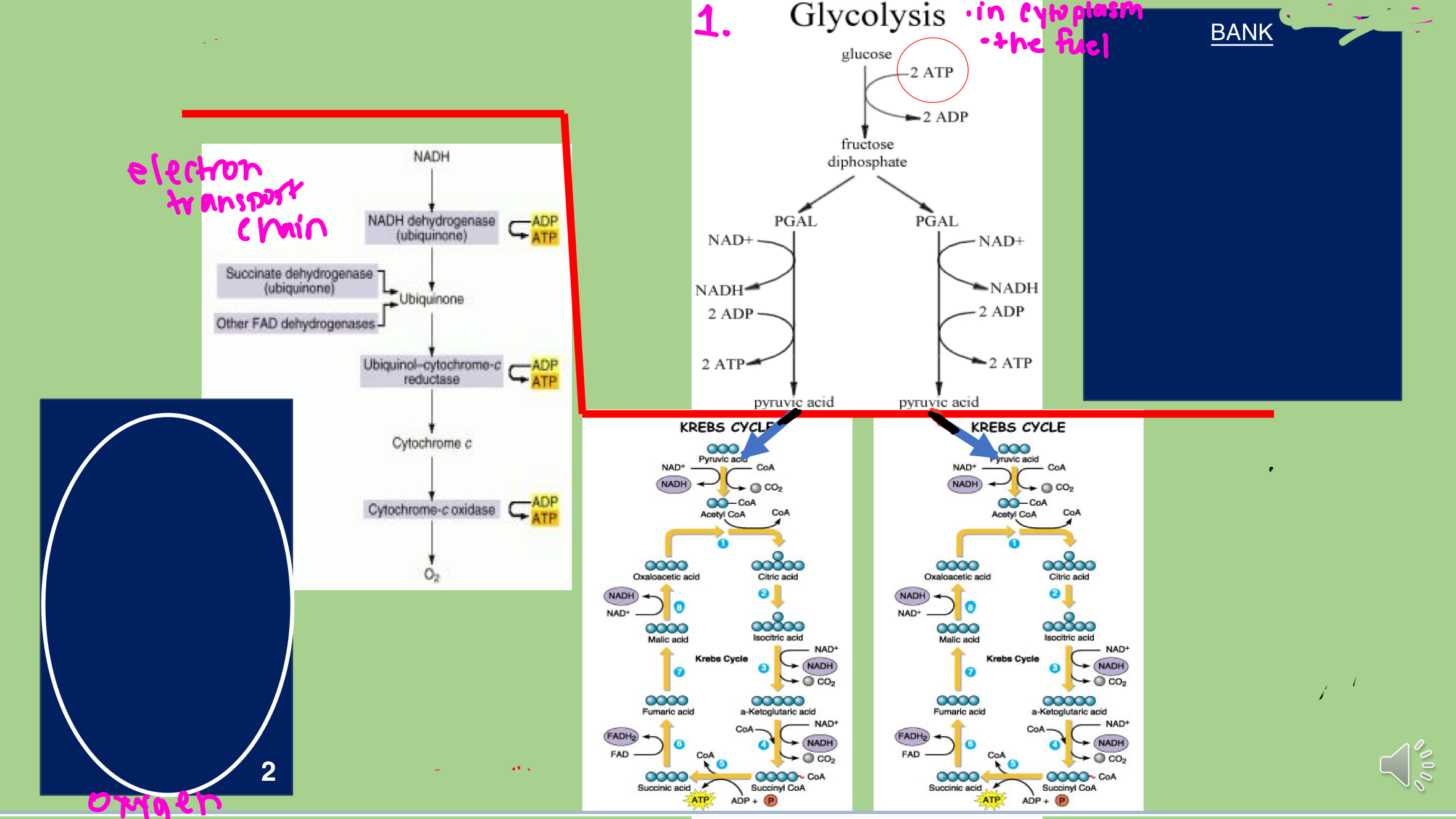 <p>Fill out this chart and explain as you go</p>