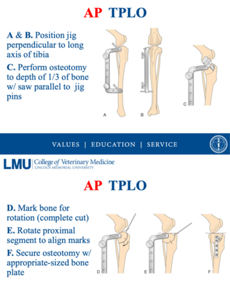<p>in a TPLO procedure, a "pivot shift" is referred to as....</p>
