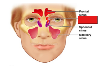<p>fill in the red box</p>
