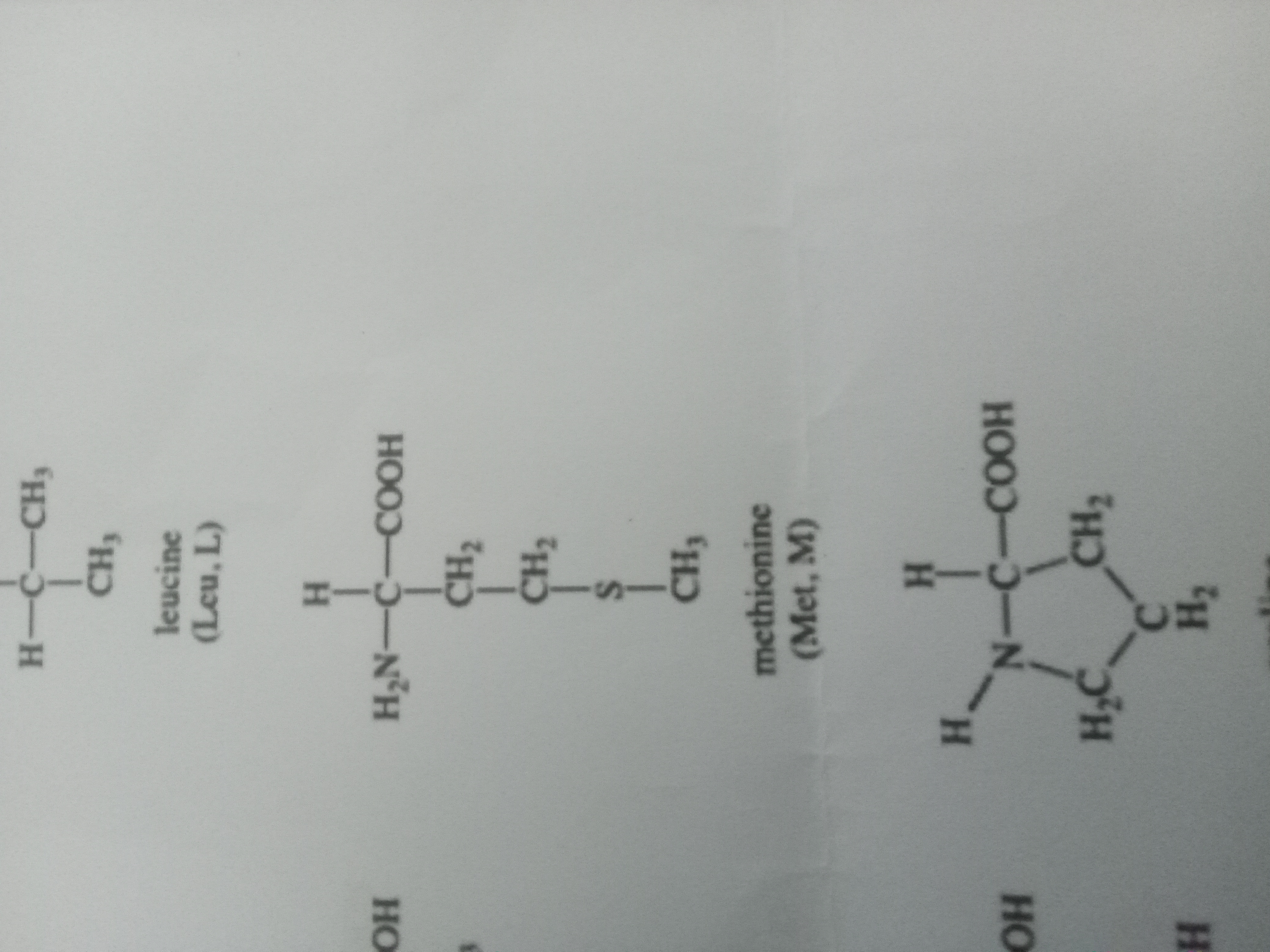 <p>Methionine </p>